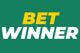 Everything You Need to Know About BetWinner Bets 16 Everything You Need to Know About BetWinner Bets 16