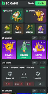 Mastering the Game Poker on BC Game